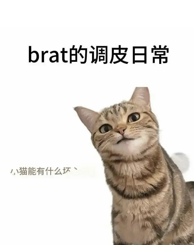 西檬之家字母圈的Tickle是什么意思? 一