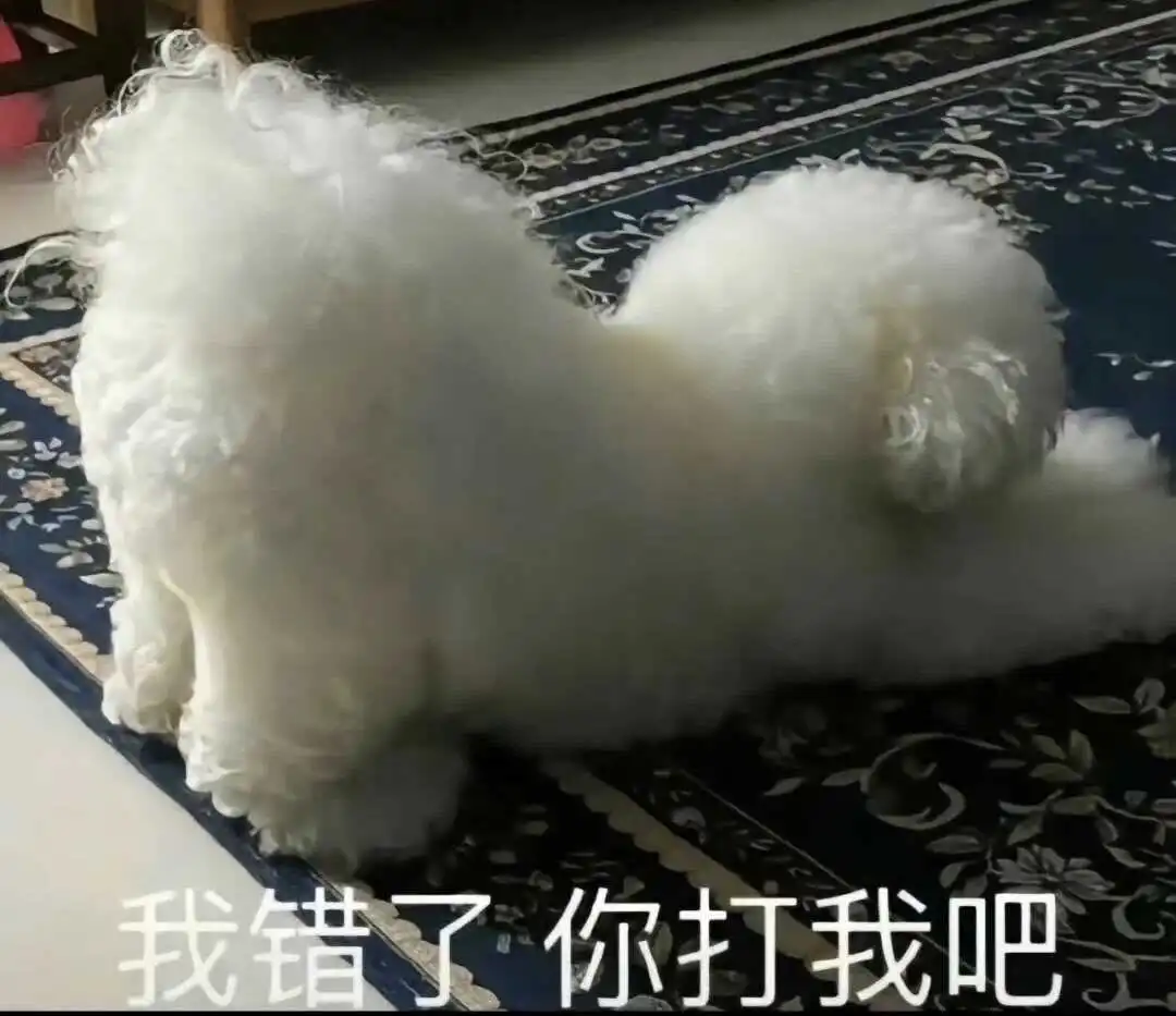 西檬之家BDSM入门:SSC原则是什么?安全词如何设置? 一