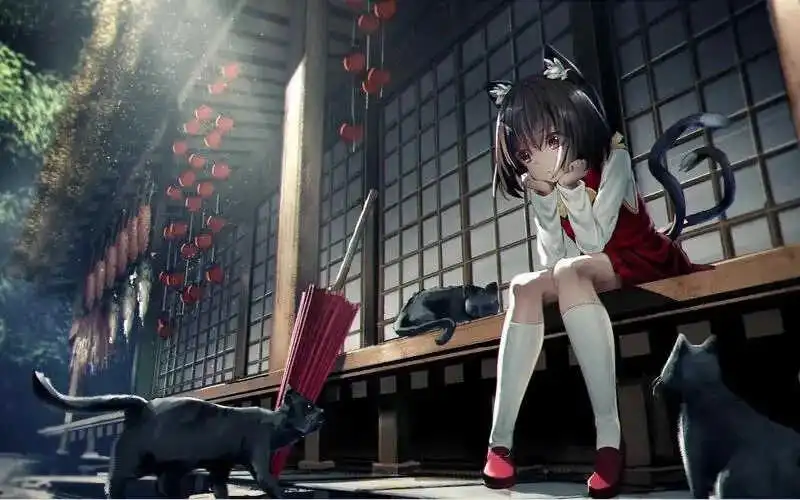 西檬之家字母圈入圈新手指南 一