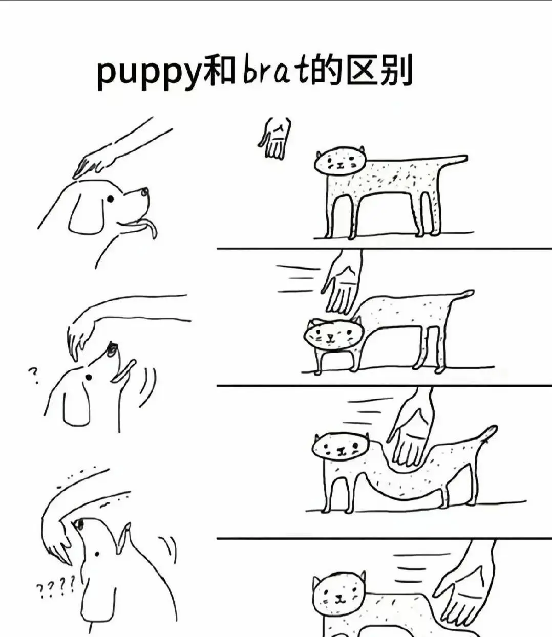 西檬之家字母圈Sp是什么意思? 一