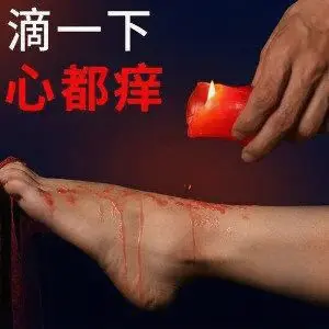 西檬之家k8是什么?字母圈新人必懂概念 一