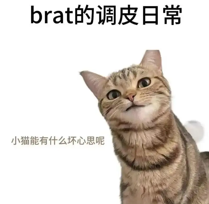 西檬之家Dirty Talk是什么?字母圈新入指南 一