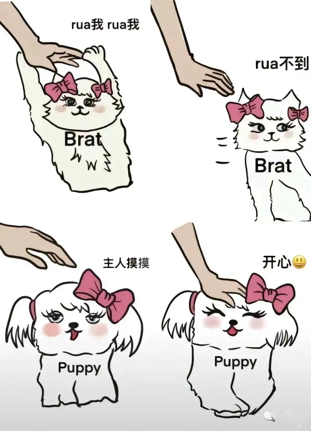 西檬之家字母圈的女王是什么? 一