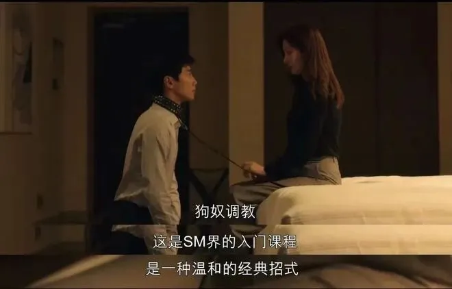 西檬之家k9犬系是什么意思? 一