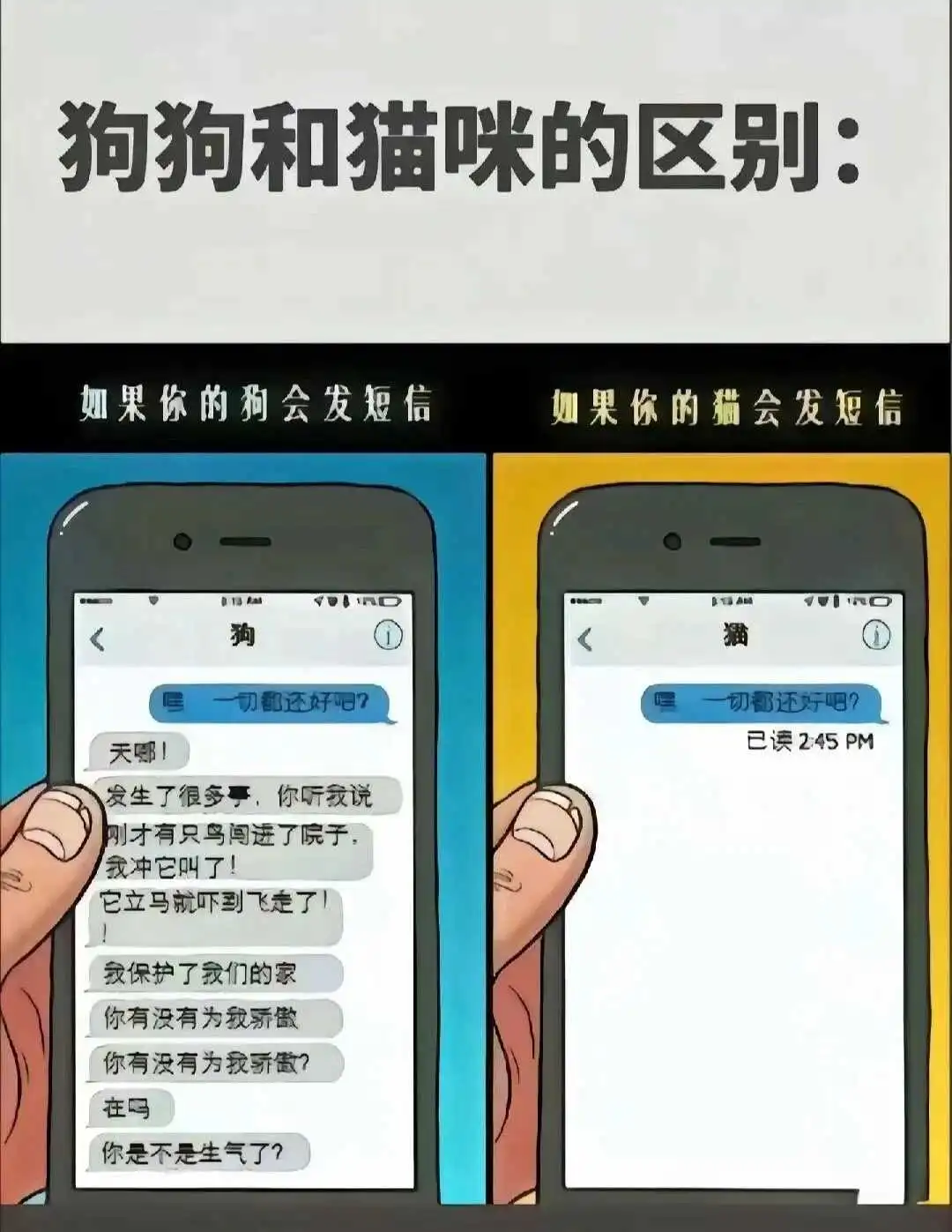 西檬之家K8猫系怎么玩?字母圈新人入圈 一