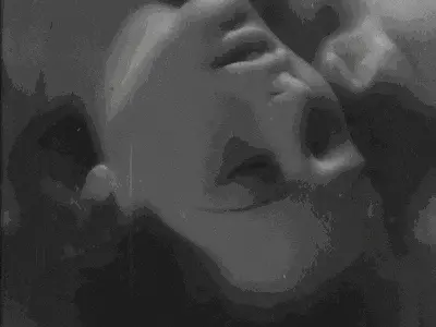 西檬之家k9是什么?字母圈新人入圈 一