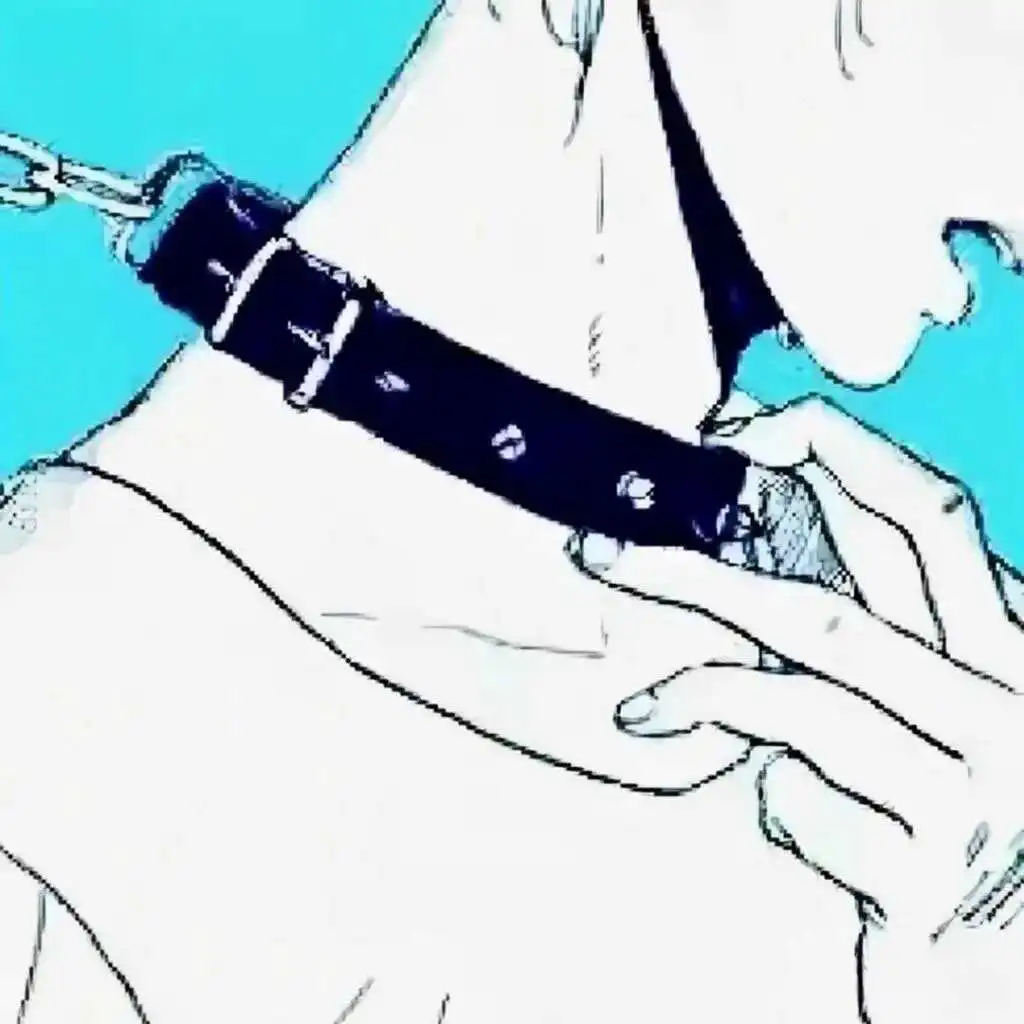 西檬之家字母圈里s属性是什么意思? 一