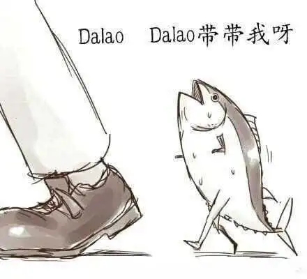 西檬之家k9犬系是什么?字母圈新人必读 一
