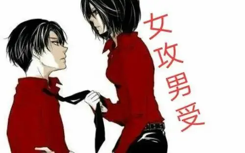 西檬之家Brat属性是什么?你的字母圈定位 一